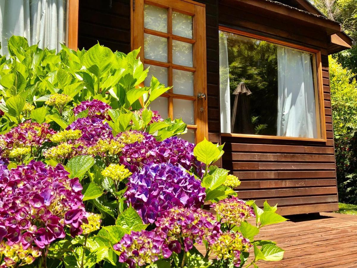 Cabanas Monte Verde Pucón Eksteriør bilde